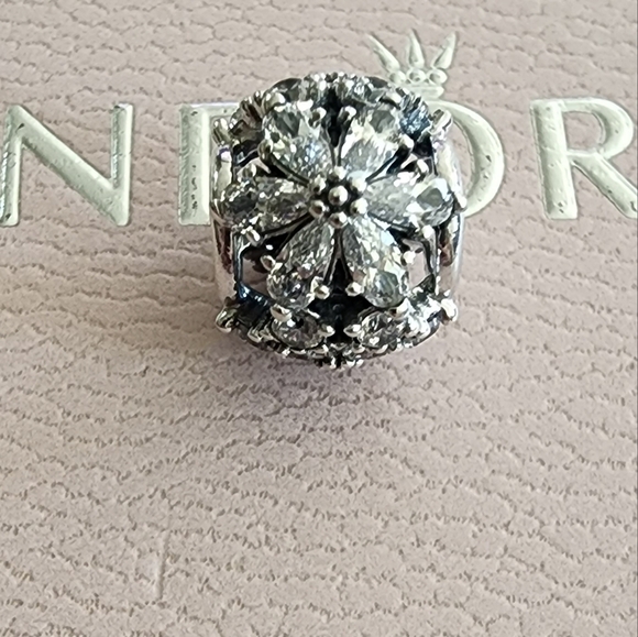 Pandora Sparkling Herbarium Cluster Round Charm - Picture 2 of 10